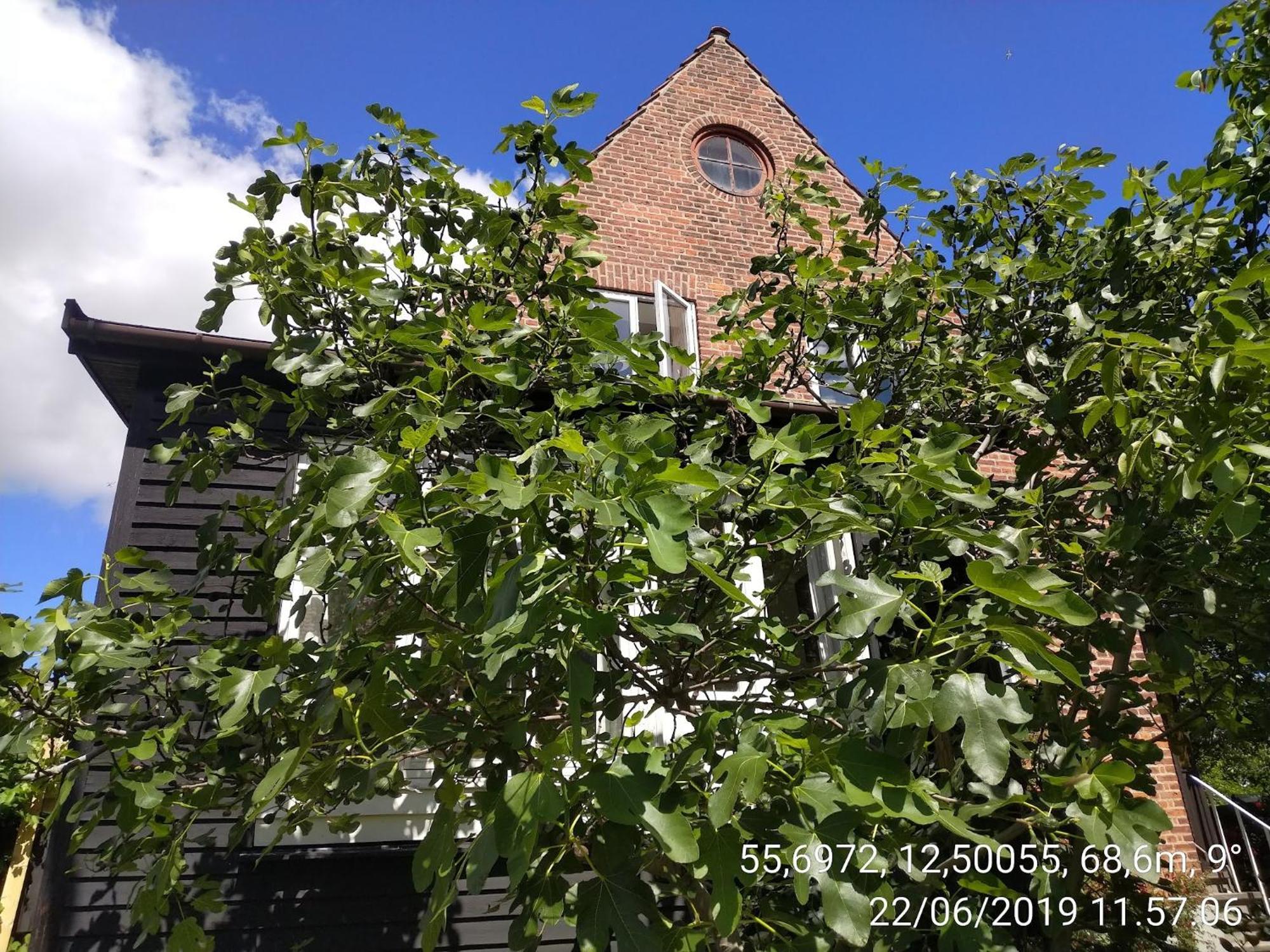 Rosa, Dobblebed, Own Kitchen, Own Bath And Own Entrance Rum i privatbostad *